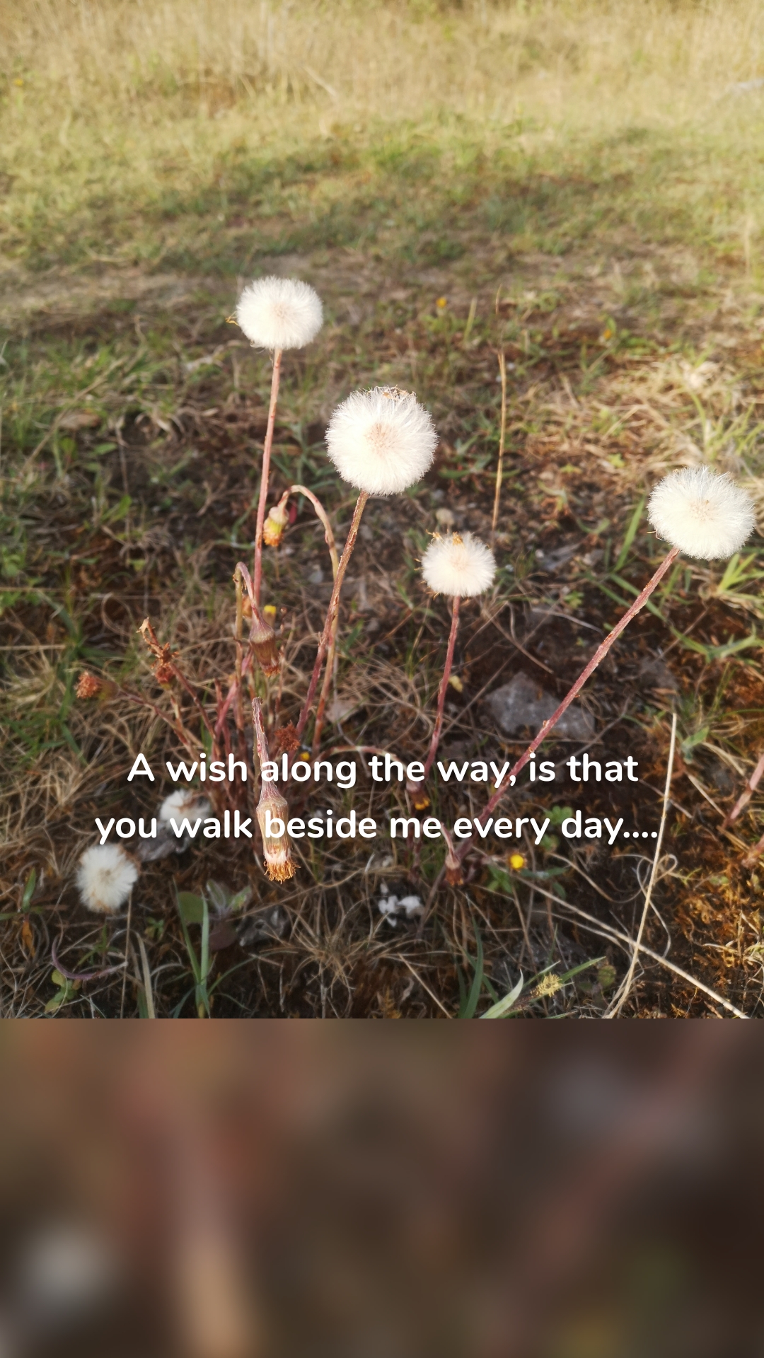 A wish along the way, is that you walk beside me every day.... 
